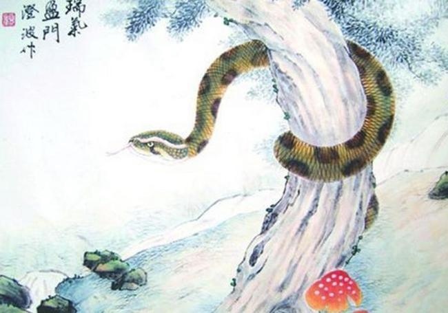 属蛇的33岁有一劫,属蛇的几月女人命好