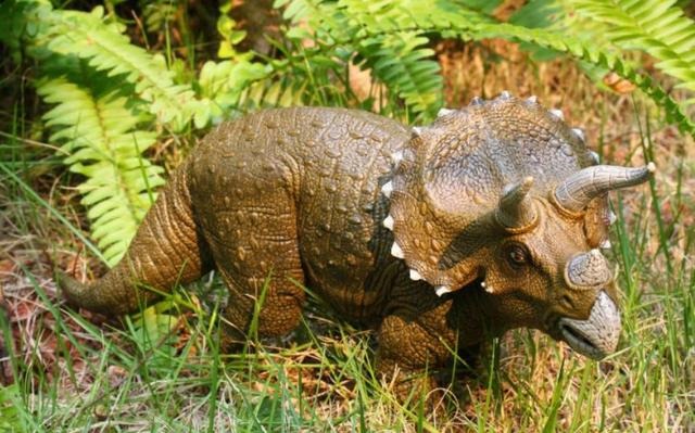 龙的死对头是什么，龙的死对头是什么生肖