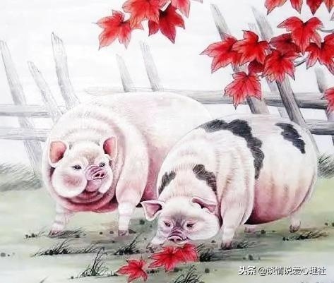 5年女兔今年婚姻状况，1975属兔45岁男的婚姻"