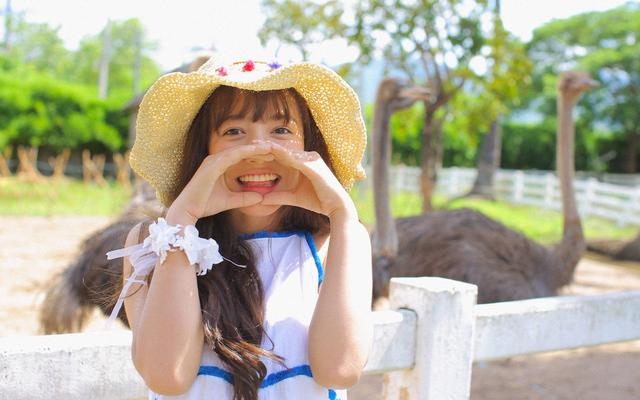 羊和鸡是不是贵人,男鸡女羊能过一辈子吗