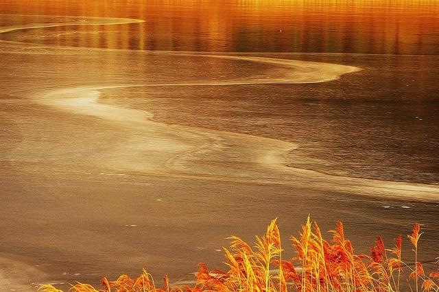 紫微十四主星2022年运势，2022紫微斗数运势