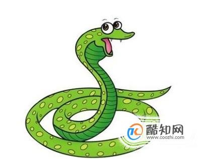 属龙的和什么不合，属龙的人和谁最不合