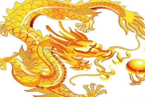 属龙哪一年出生的，属龙是那一年出生的