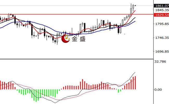 995年到2023年多大，1995年属猪2023年运势"