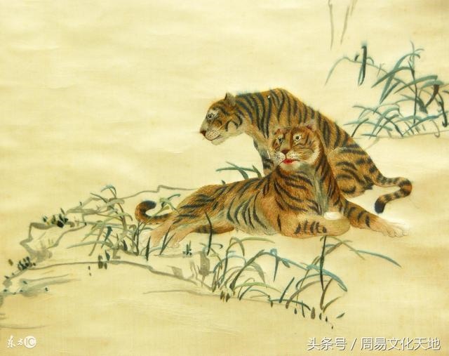 属虎人明年运势,98年属虎人躲不过去的大难