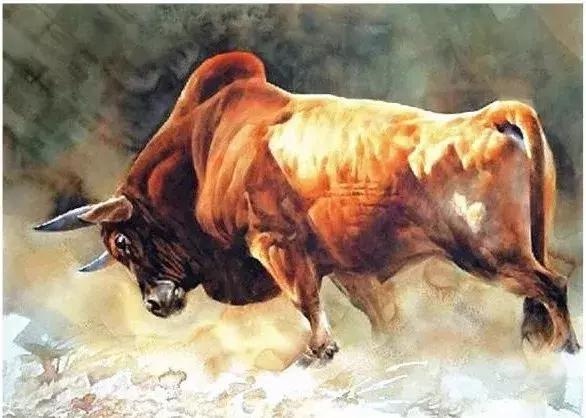 3属猪正缘出现在哪年，1983属猪女有几次婚姻"