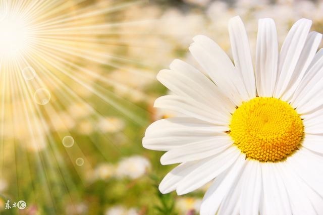 属蛇32岁财运怎么样，什么生肖最旺蛇