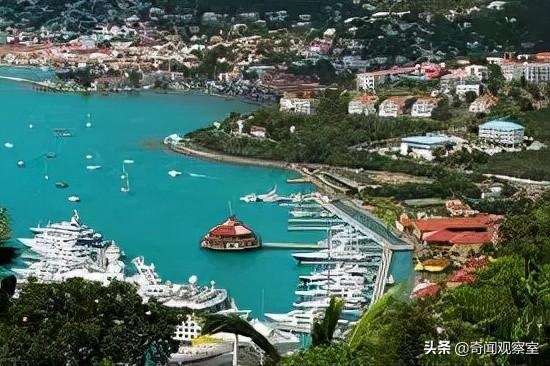 男龙女龙结婚的下场，男龙女龙婚后女龙生病