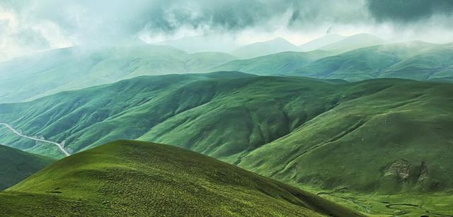 属龙会因为什么放弃一个人，怎么才能放弃一个人