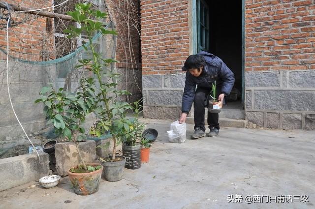 女虎配蛇男好不好，女大三岁女属虎男属蛇