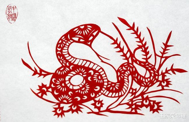 022年属蛇人的全年运势,77蛇女2022