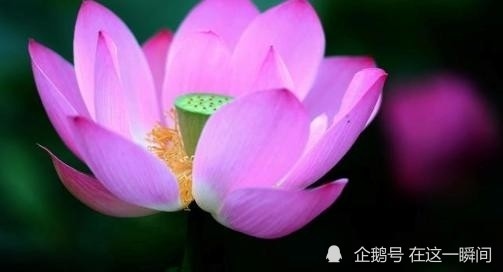 022年桃花运测试，2022年最有钱的星座女"