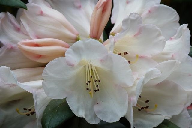 5年兔未来三年运势，75年兔今年运势"