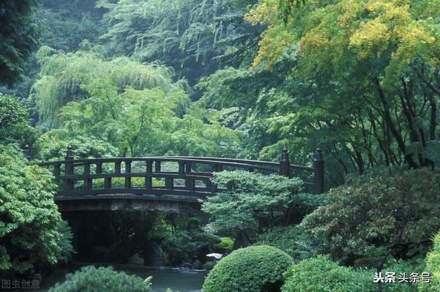 属龙的十一月出生好吗，属龙阴历十一月出生好吗