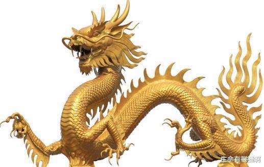 属牛的和属龙的配不配,属牛男和属龙男的合不合