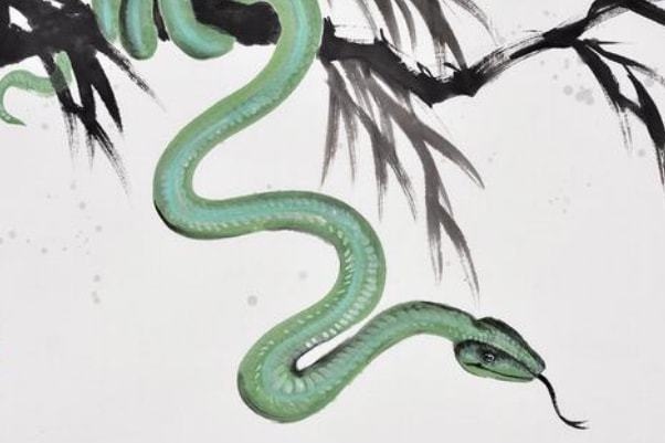 属蛇的找什么对象更好，01年属蛇更佳结婚年龄