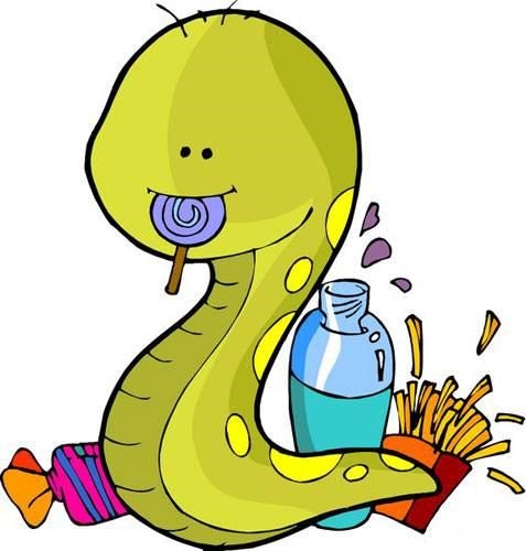 1年羊男和92年猴女婚配,1992年属猴2022