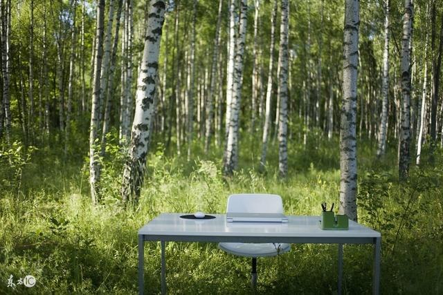 988年出生属于什么命,1988年什么命"