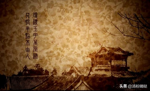 凤凰命格是什么意思，金凤凰命格是什么意思