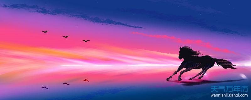 属龙男与属马女婚配好不好，属龙男和属马女的婚姻怎么样