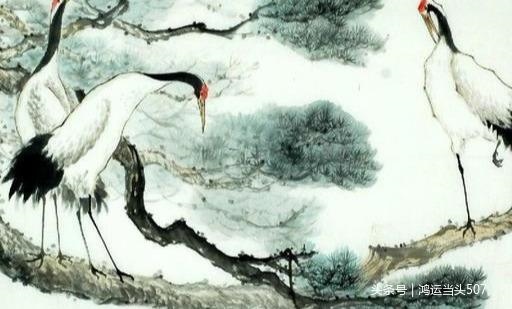 6年属龙人终身灾难四份，1976属龙人2022年每月"