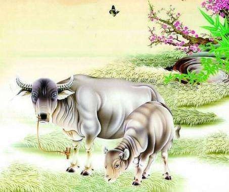 973年属牛的今年命运,73年牛2022