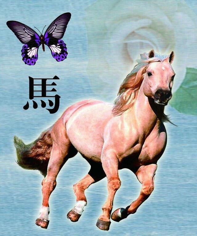 941年蛇在2022会不会死,41年属蛇还能活几年"