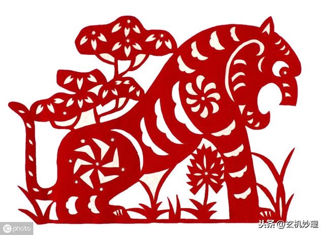 女龙事业上忌讳属相，属龙适合什么属相结婚