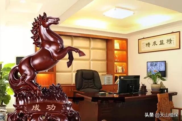 防小人化解小人的风水吉祥物，化解小人最简单的 ***