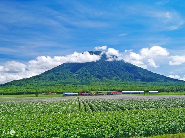 必能成大事业的生肖女,一生事业有成的生肖女