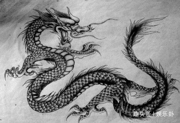 生肖龙和生肖龙配不配，生肖龙和3个生肖配对