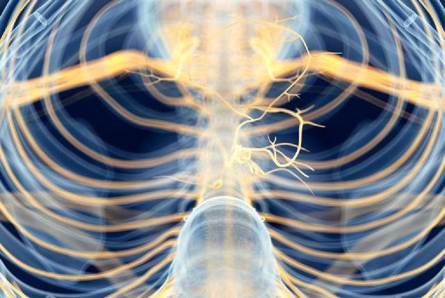 马的声音是怎么叫的，马的叫声字怎么写