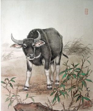 十二属相排列顺序表，夫妻相克表太准了