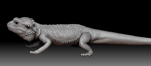 十二生肖是什么，十二生肖的动物是什么样子的