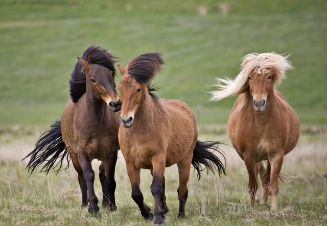 022年实岁对照表属马，属马的2022年高考顺利吗"