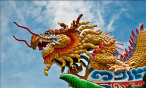 龙今年几岁2022，属兔子的今年几岁2022