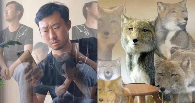 龙遇猪食无穷是什么意思，属猪男和属龙女相配吗