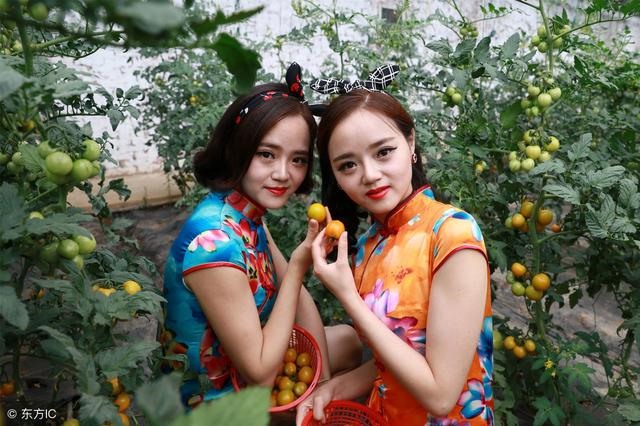 农历这几天出生的命中带金，属猪几点出生大富大贵