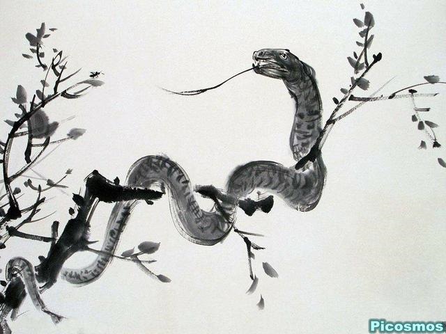 941年蛇在2022会不会死,41年属蛇还能活几年"