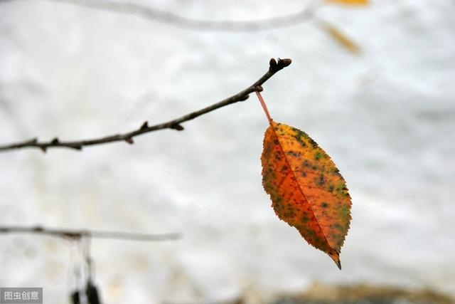 八字十年大运是什么意思，九运对什么人不利