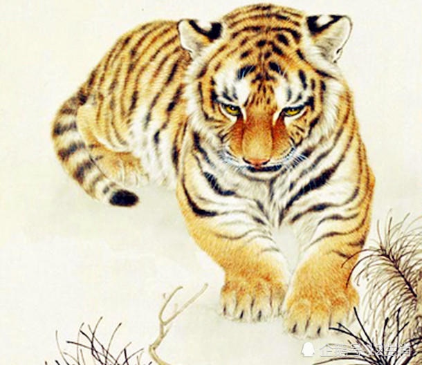 属猴避开生几月的虎，虎猴夫妻真的会克死吗