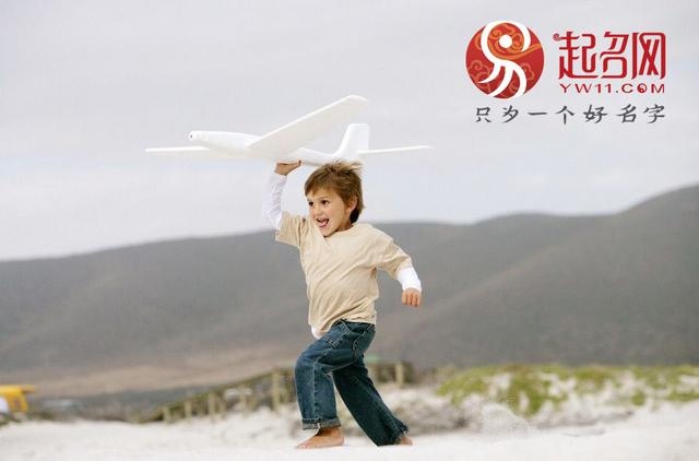 巳时出生的男孩有官做吗，出生几月是当官的命