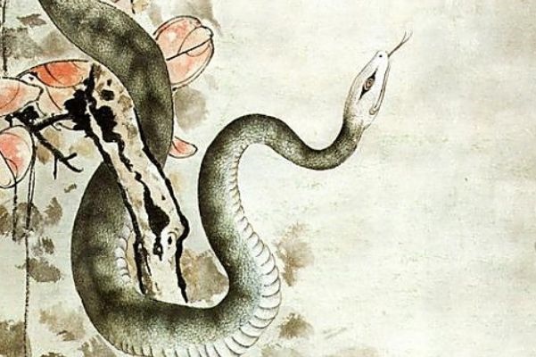 属牛和属蛇的配吗，属牛的和属蛇的相配吗