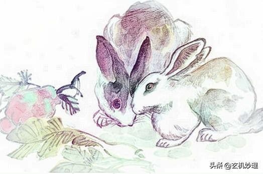 明日运势怎么样，十二生肖每日运势