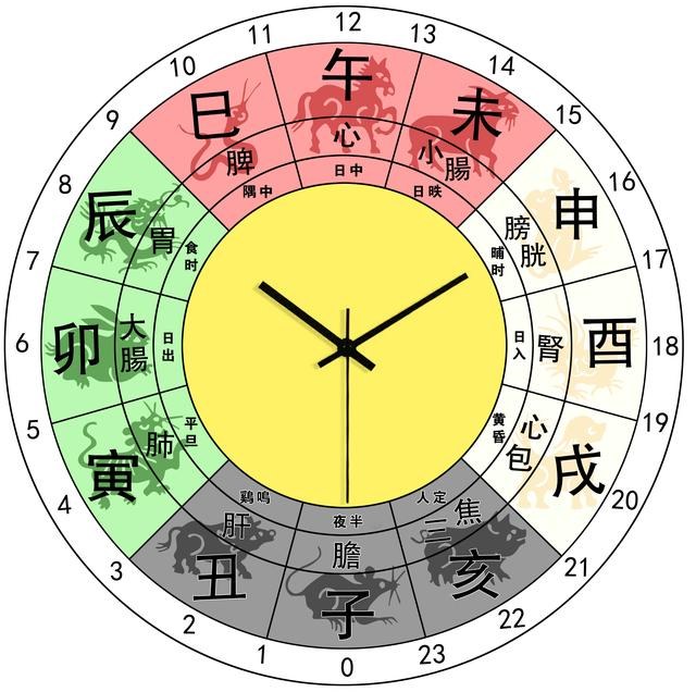 脏腑十二时辰对照表口诀，脏腑工作时辰图