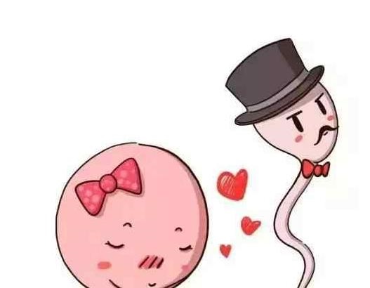 022年怀孕清宫表，2022年必定生女孩月份"