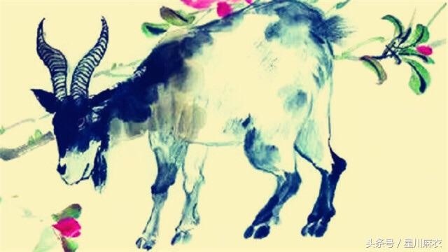 属龙的和属狗的搭档工作，龙狗相冲谁克谁