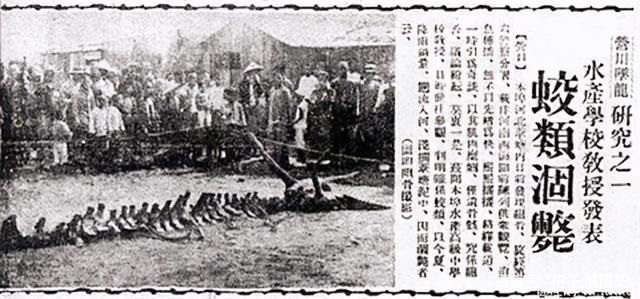 000年的龙是什么龙，2000年属龙的是什么命五行"