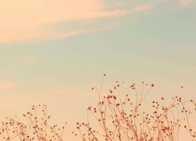 属狗女和属猴男相配婚姻如何，男属鸡女属猴相配吗婚姻