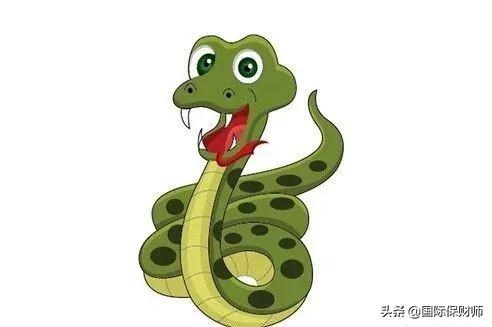 李居明2022年运程，2022年运势12生肖运势